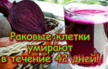 Раковые клетки умирают в течение 42 дней: Сок этого знаменитого австрийца спас 45 000 людей от рака и других неизлечимых болезней! Рецепт