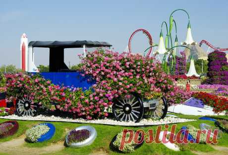 Miracle Garden, Dubai.