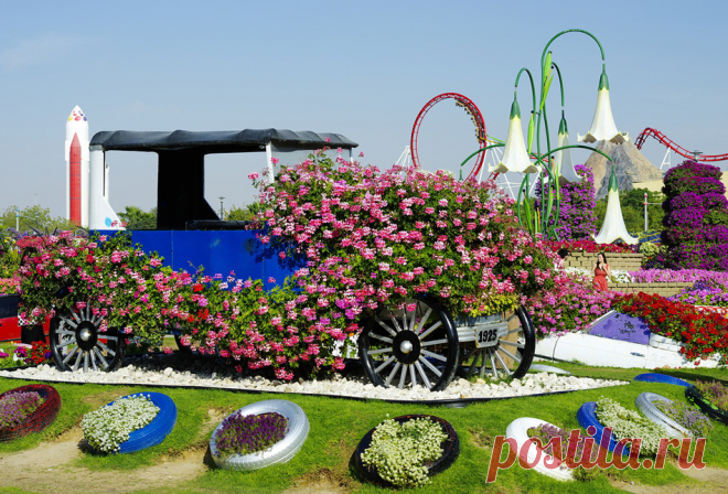Miracle Garden, Dubai.