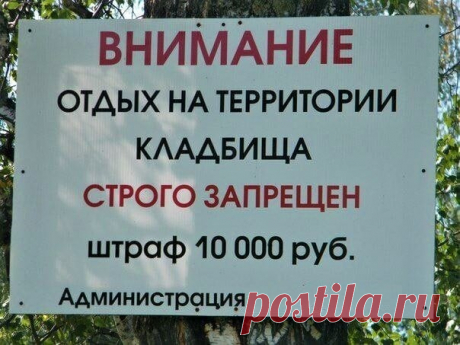 15 убойных объявлений, которые можно увидеть только в России