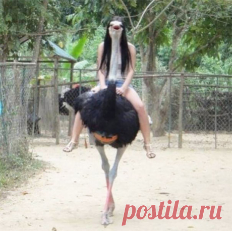 Фотографии, сделанные в нужный момент