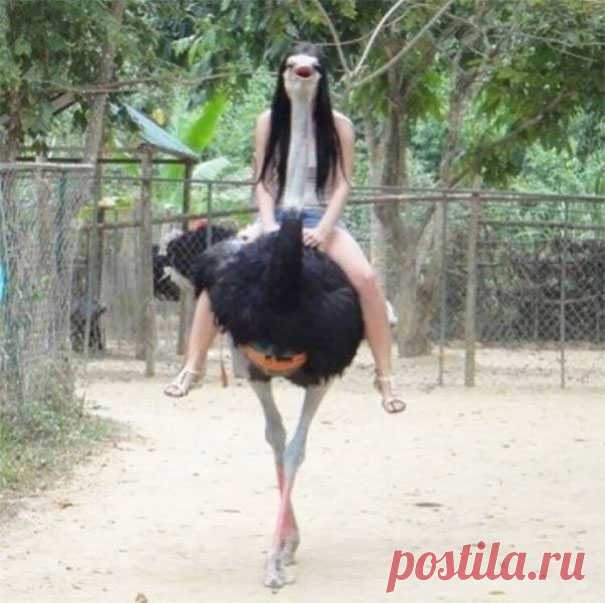 Фотографии, сделанные в нужный момент