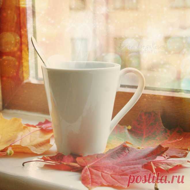 2lqHHdR-wTk.jpg (1025×1024)