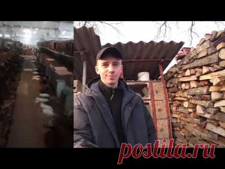 УЖАС КРОЛИКОВОДСТВА. Фермак  минус 2,5к кроликов