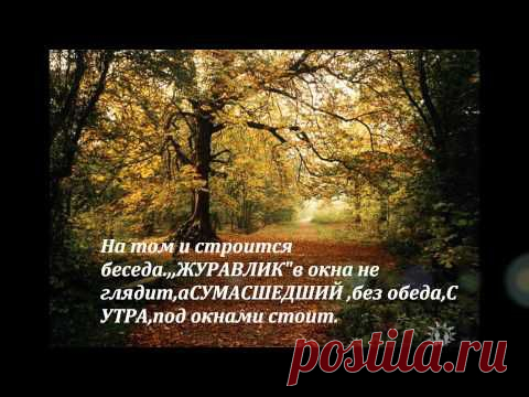 МЕЛОДИЯ СНА. | У нас все звезды