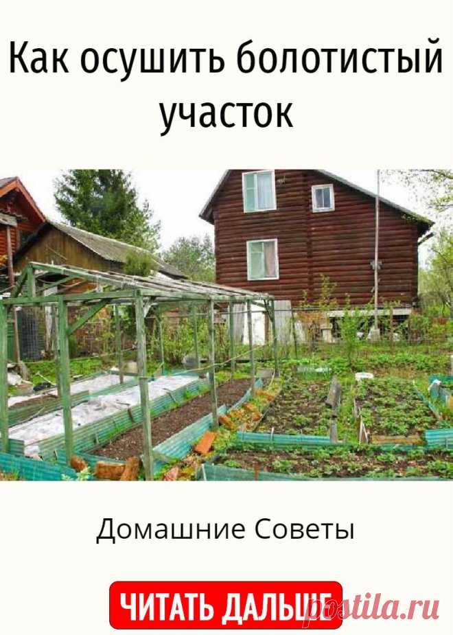 Как осушить болотистый участок