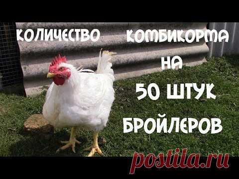 Сколько надо комбикорма на 50 бройлеров