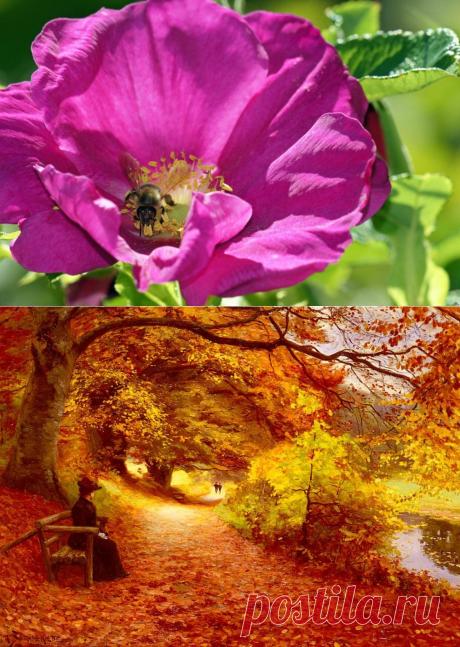 Созерцание