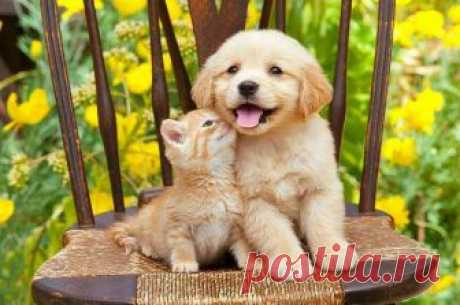 (2) Facebook