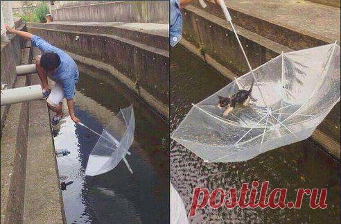 Ещё есть среди нас Люди, которые не проходят мимо чужой беды...