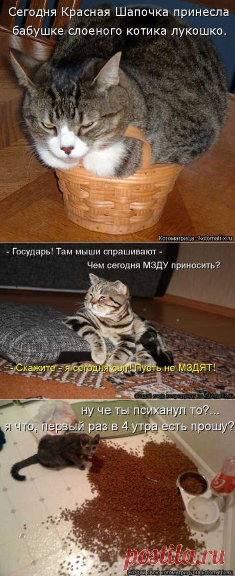 ПЯТЬ МИНУТ СМЕХА - ЦЕЛЫЙ ДЕНЬ УСПЕХА!!! - Кладовая инета - Страна Мам