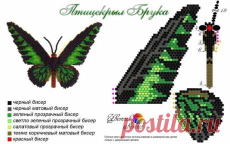 Бабочка крылья шаблон / бесплатные узоры для любителей бисера ...