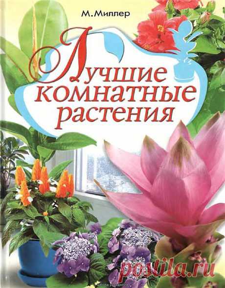 Книга: Лучшие комнатные растения.