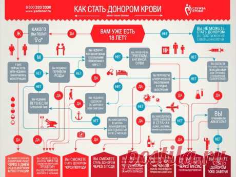 Я ДОНОР ТОЛЬЯТТИ