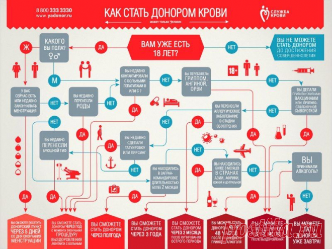Я ДОНОР ТОЛЬЯТТИ