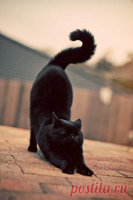 Sur le pouce | iamthecrime: occlumens: clinicolour: (via...