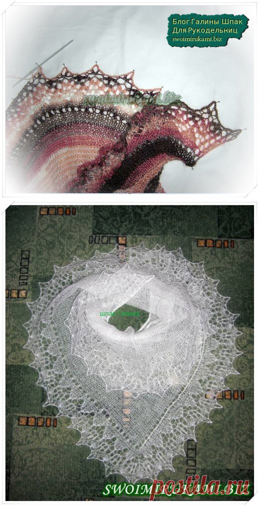 Как вязать шаль фишю спицами: мастер-класс от Галины Шпак | Блог Галины Шпак|Мастер-классы по рукоделию