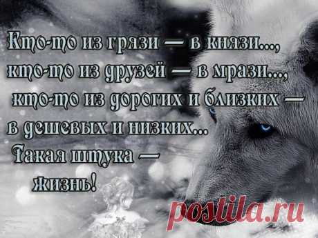 Одноклассники