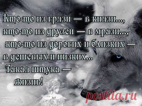Одноклассники