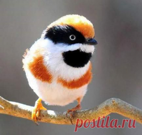 (2) Добро пожаловать! | LinkedIn