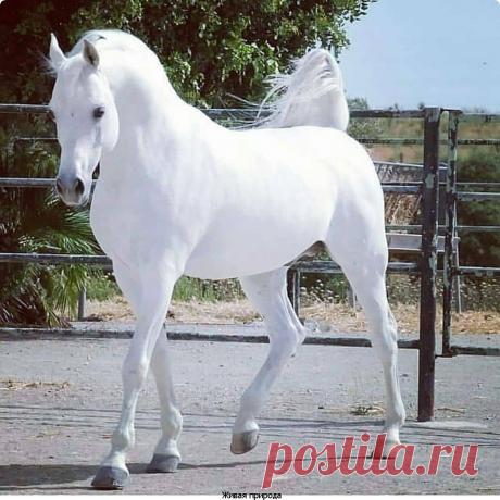 Мой Мир@Mail.Ru