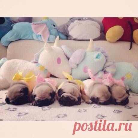 Тихий час в детском саду: