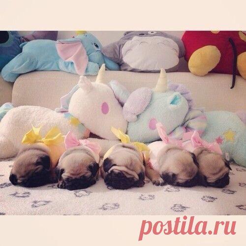 Тихий час в детском саду: