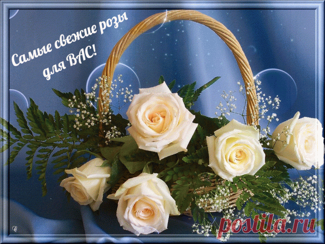 GIFOK | Для тебя