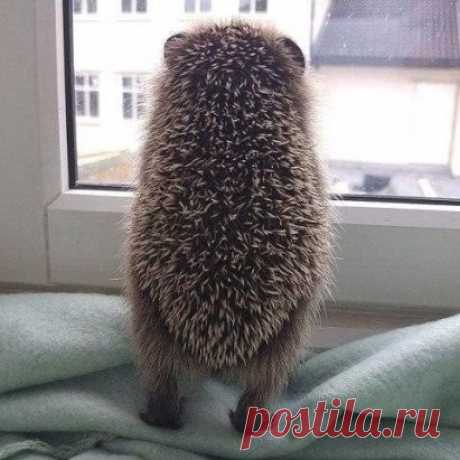 Коротко о погоде:
Давайте никуда не пойдём..