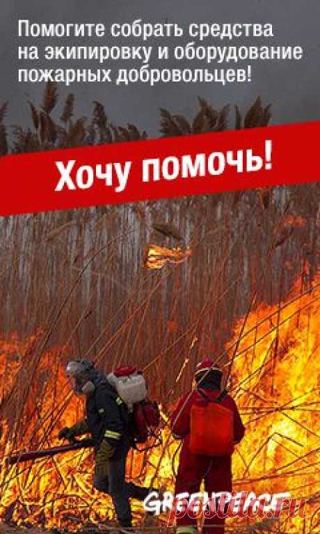 Хоть и не болезнь, но очень неприятная штука. О климаксе