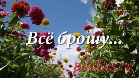 Всё брошу и уеду!... Песня за душу берет! Послушайте!...