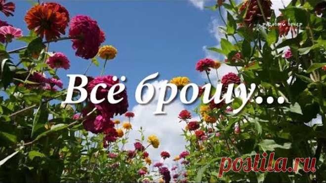 Всё брошу и уеду!... Песня за душу берет! Послушайте!...