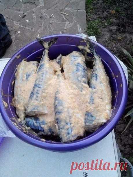 Скумбрия на мангале

Ингредиенты:
свежемороженая скумбрия, 
майонез, горчица, кетчуп, 
чеснок, 
лук, 
специи для рыбы, соль, перец, 
растительное масло.

Приготовление:
1. Скумбрию разморозить. 
2. Сделать соус из майонеза, горчицы, кетчупа, растительного масла, специй и соли. 
3. Туда же добавить измельчённый чеснок и натертый на крупной терке лук. 
4. Всё хорошо перемешать и намазать скумбрию. 
5. Сложить в чашку и оставить на 3-5 часов мариноваться. 
6. Готовить на манг...