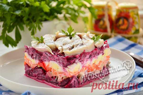 Салат с сельдью и свеклой: вкуснее обычной селедки под шубой Салат с сельдью, свеклой, маринованными грибочками и овощами получается намного вкуснее обычной селедки под шубой и готовится проще и быстрее.