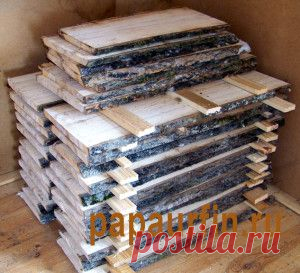 Как высушить широкую осиновую доску в домашних условиях недопустив коробления и растрескивания » Папа Урфин предметы из дерева своими руками