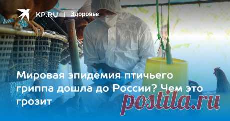 28-1-23-Мировая эпидемия птичьего гриппа дошла до России? Чем это грозит Вирусолог Альтштейн не исключил возможности новой мутации гриппа H5N1