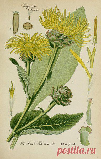 ~ MON PLAISIR ~ Вещи для души. Винтаж,Прованс.