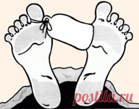 Государство существует для людей, и его главная цель – заботиться о благе всех и каждого. О том, что случается, когда об этом забывают, расскажет вам моя басня в стихах.