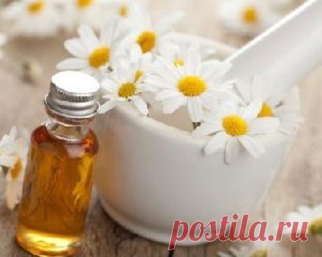 Масла для ухода за волосами. Памятка. | Секреты красоты и здоровья