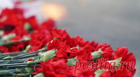 Ушла за грибами и не вернулась: в Ленинградской области похоронили 12-летнюю девочку, убитую в лесу. 6 июля в Ленинградской области прошли похороны 12-летней школьницы, которая стала жертвой жестокого убийства. Девочка отправилась за грибами и не вернулась — её тело нашли более чем с 30 ножевыми ранениями в лесополосе. По подозрению в совершении преступления полицейские задержали 42-летнего члена правления местного СНТ. На допросе он признался, что хотел изнасиловать девочку, а когда та…