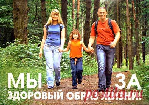 Здоровый образ жизни — Моя кухня