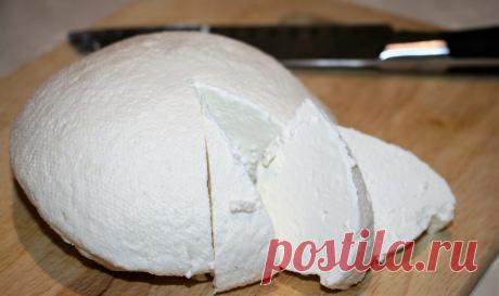 Адыгейский сыр по разным рецептам. Сварила и сравнила по вкусу | Скоро ягодка опять | Яндекс Дзен