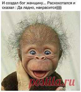 Смейся до слёз :D