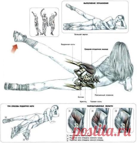 Fitness Life
