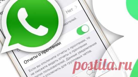 20 хитростей WhatsApp, которые превратят вас в гуру онлайн общения