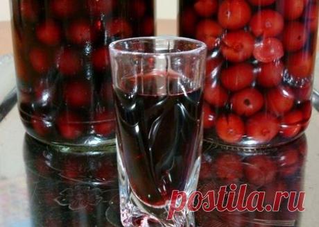 Домашняя настойка из вишни – 3 лучших рецепта