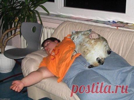 Мне кажется или они похожи?