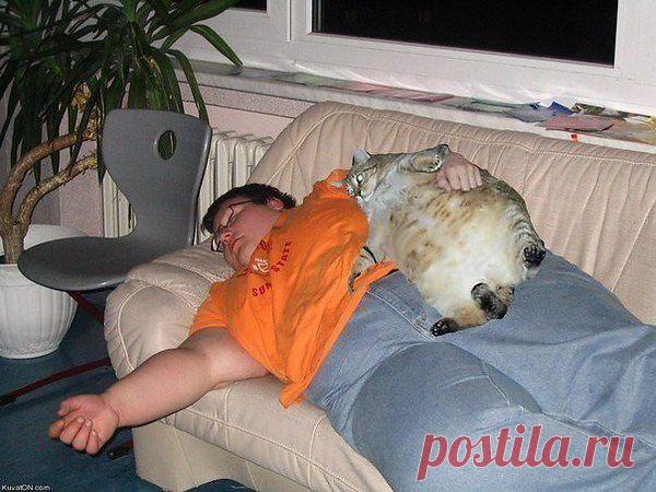 Мне кажется или они похожи?