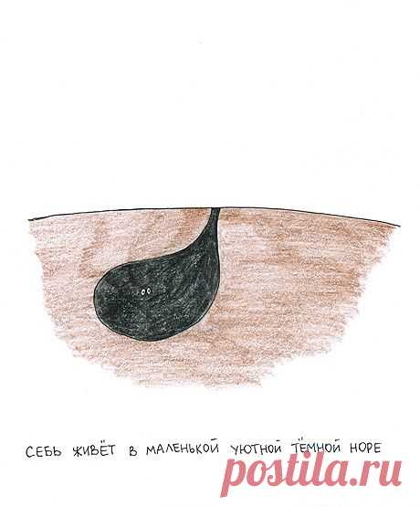 Веселое творчество Тани Tavlla