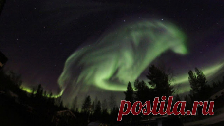 White Wolf : Lucky Photographers Capture Wolf Like Images In The Sky